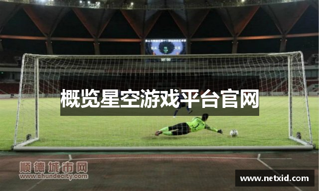 概览星空游戏平台官网